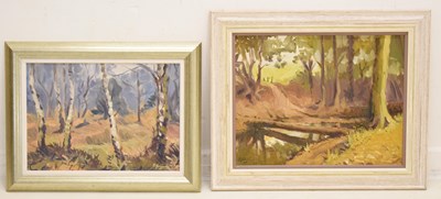 Lot 584 - Ronald Henry Johnson (British, 1930-2025) - Two oils on woodland scenes