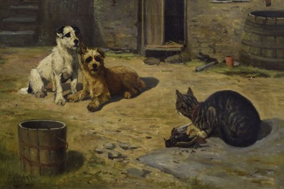 Lot 303 - John Ley Pethybridge (1865-1905) - Oil on canvas - Two wire haired terrier dogs and a tabby cat