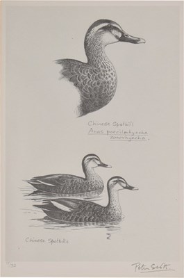 Lot 542 - Peter Markham Scott (1909-1989) - Signed limited edition print - Chinese Spotbill Ducks
