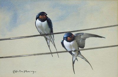 Lot 355 - Edwin Penny (1930-2016) - Watercolour - Two swallows