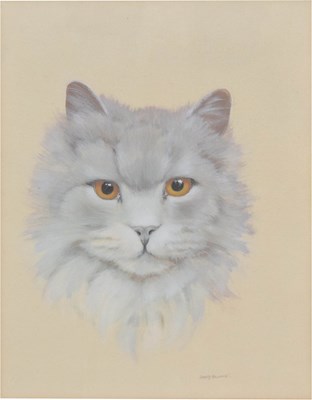 Lot 586 - David Blake (1904 Arts, formally Bristol Savages) - Pastel - Study of a cat