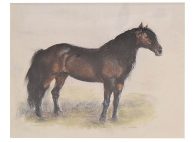 Lot 613 - John Rattenbury Skeaping RA (British, 1901-1980) - Pastel study of a horse