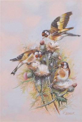 Lot 603 - Ernest Baker (20th century) - Gouache - Goldfinches