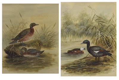 Lot 271 - Early 20th century English school - Two watercolour studies of ducks