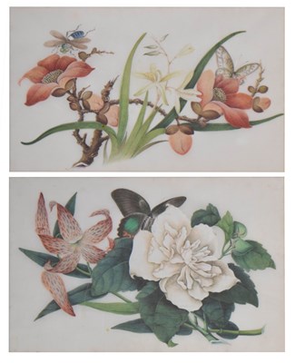 Lot 435 - Pair of Chinese watercolours on 'rice' (pith) paper
