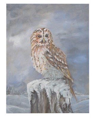 Lot 485 - B. Wright (Contemporary) - Oil on board - Tawny Owl
