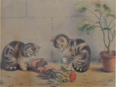 Lot 507 - Early 20th century school - Watercolour - Tabby cats