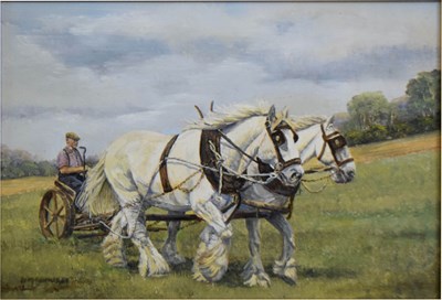 Lot 499 - Doreen Medhurst (Contemporary) - Oil on board - Heavy Shire Horses