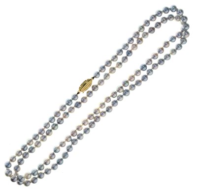Lot 97 - Long string of silver-grey coloured cultured pearls
