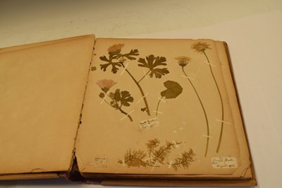 Lot 275 - Scrap book of early 20th Century pressed 'wild flowers'