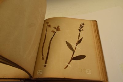 Lot 275 - Scrap book of early 20th Century pressed 'wild flowers'