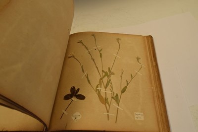 Lot 275 - Scrap book of early 20th Century pressed 'wild flowers'