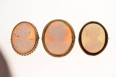 Lot 35 - Victorian shell cameo brooch