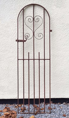 Lot 561 - Narrow Iron garden gate