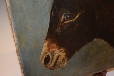 Lot 676 - Early 20th Century Primitive School, oil on canvas, Head of a Donkey