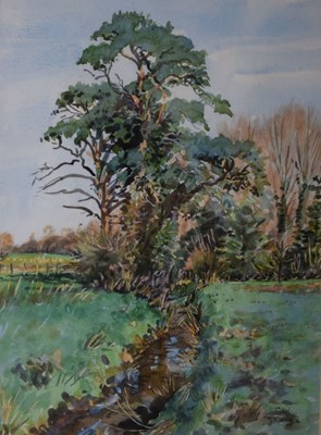 Lot 648 - Michael Rummings - Watercolour - Landscape with trees and brook