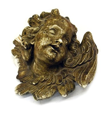 Lot 540 - Polished plaster head of an angel