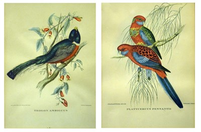 Lot 537 - Pair of coloured prints of birds - 'Trogan Ambiguus' & 'Platycercus Pennantil'