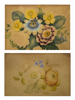 Lot 489 - Pair of 19th Century Botanical watercolours