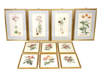 Lot 560 - Four prints of Orchids, together with a quantity of botanical prints, framed and glazed