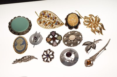 Lot 71 - Thirteen various costume jewellery brooches