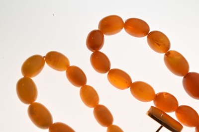 Lot 77 - Two graduated amber bead necklaces, and a pair of amber set cufflinks