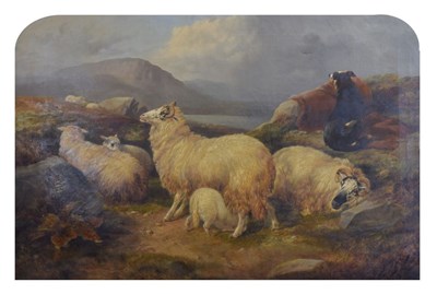 Lot 385 - John Charles Morris, (fl. 1851-1889) - Oil on canvas - Sheep and sheepdog