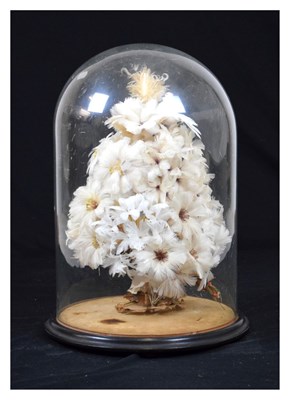 Lot 235 - Victorian feather flower arrangement under glass dome