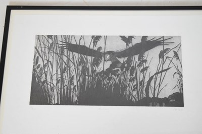 Lot 677 - Tim Major 