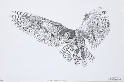 Lot 677 - Tim Major 