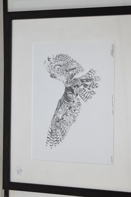 Lot 677 - Tim Major 